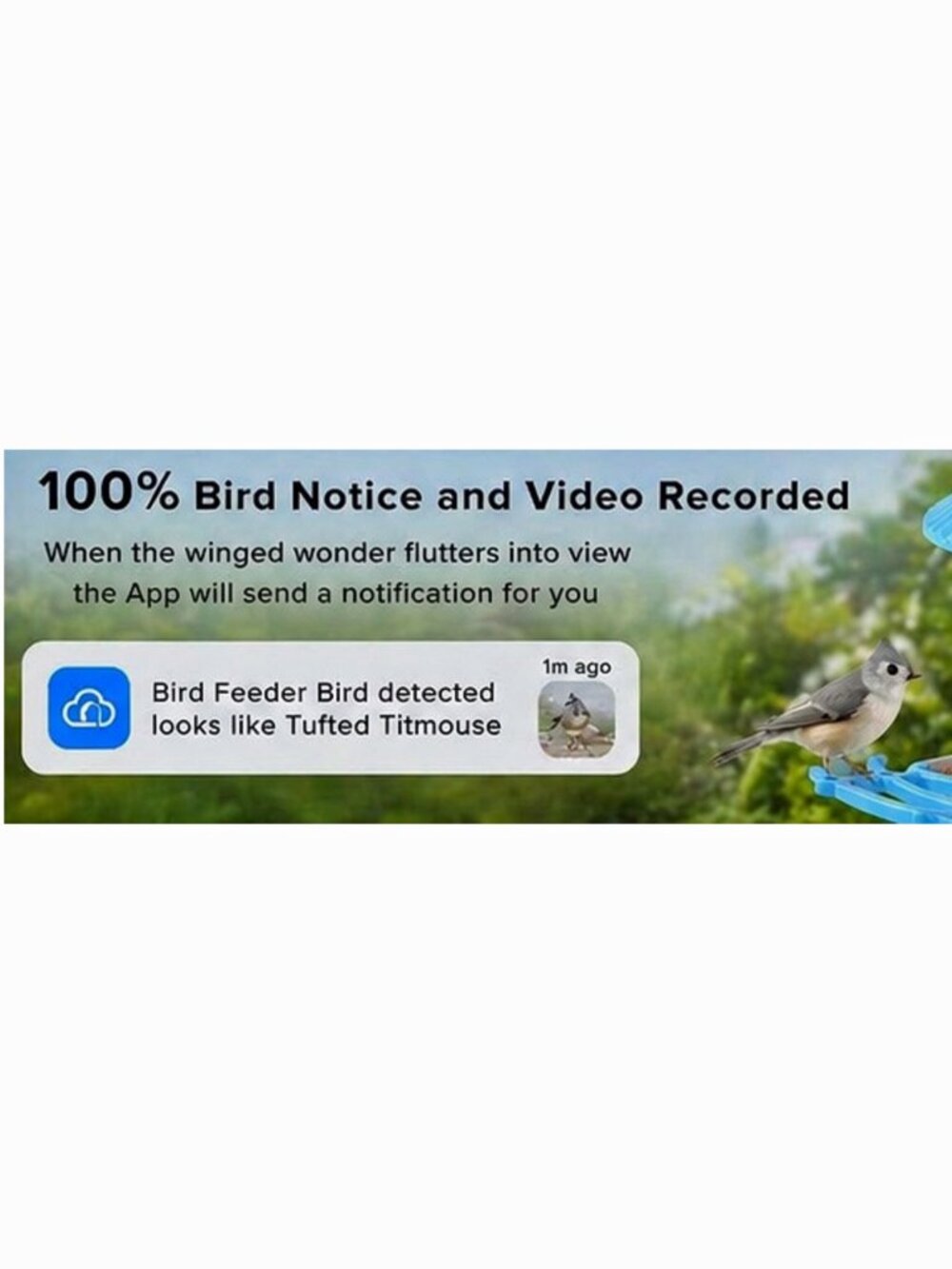 NIB: YONDX 2K HD Smart Bird Feeder with AI & Solar Power (AI Assisted Descriptio - Picture 10 of 13